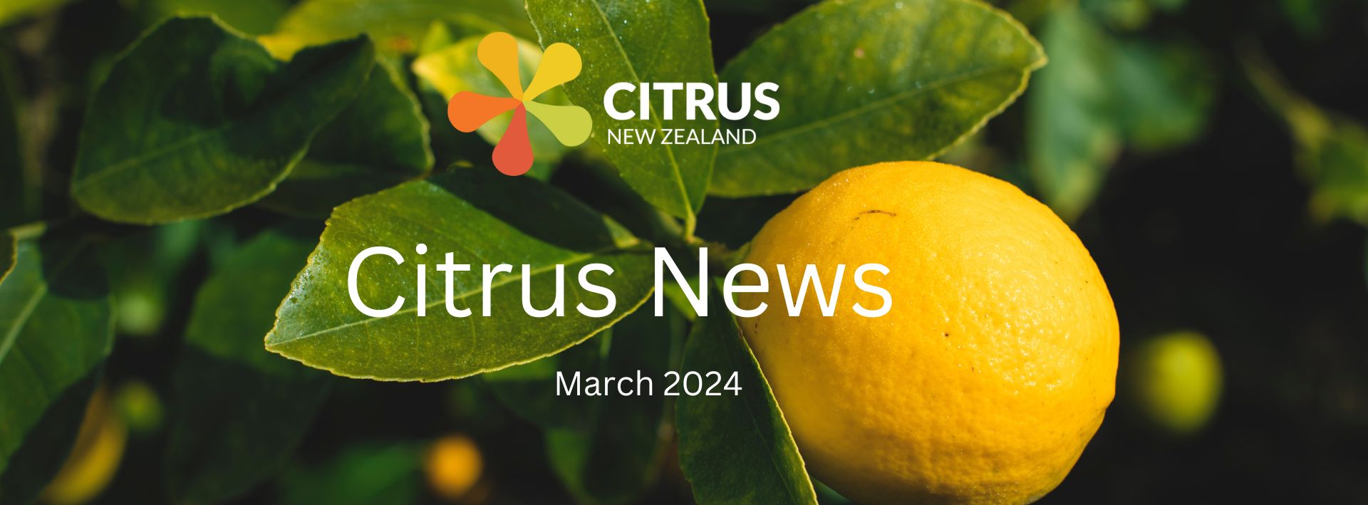 March Citrus News ’24