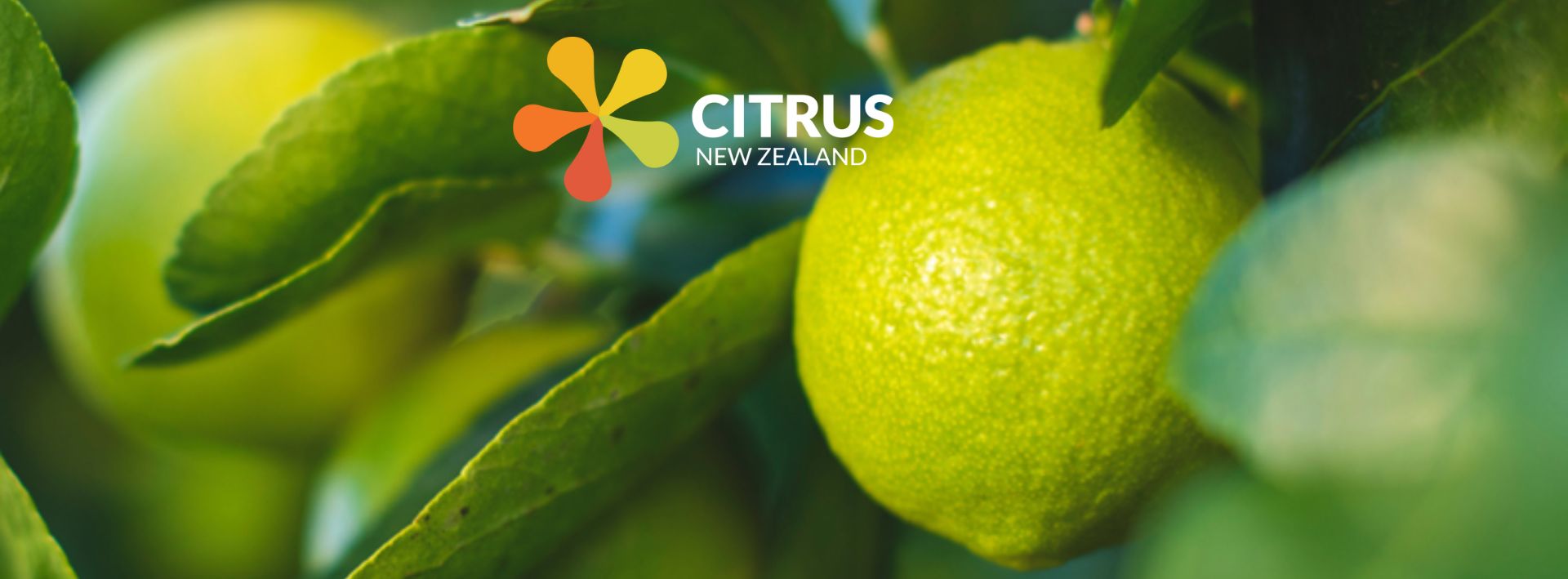 July Citrus News ’24