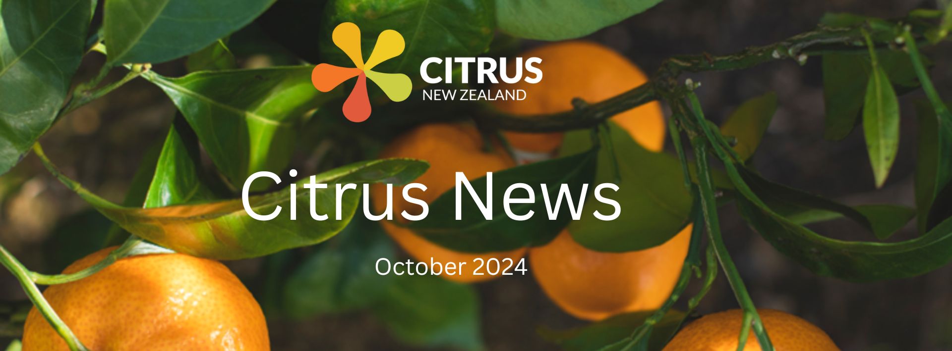 October Citrus News ’24